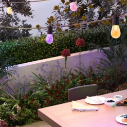 Calex Smart Outdoor Feestverlichting/Partystring - 10M 24V -Exporteren Lente Tuin Winkel calex smart outdoor feestverlichting partystring 10m 24v 5