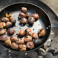 Kastanjepan - Fancy Flames -Exporteren Lente Tuin Winkel kastanjepan fancy flames 3 1