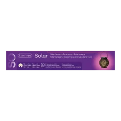 Lumineo Solar Lantaarn - LED - D14 X H16cm - Zwart/Goud