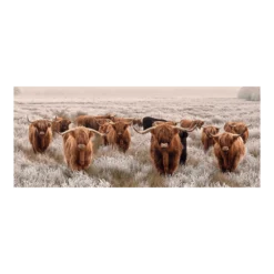 Tuinposter Longhorns - 110x45cm