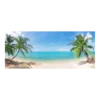 Tuinposter Strand Met Palmen - 110x45cm -Exporteren Lente Tuin Winkel tuinposter strand met palmen 110x45cm tuinposters 1