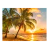 Tuinposter Strand Ondergaande Zon - L - 120x90cm -Exporteren Lente Tuin Winkel tuinposter strand ondergaande zon l 120x90cm tuinposters 1